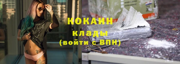 шишки Армянск