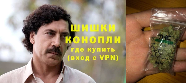 шишки Армянск