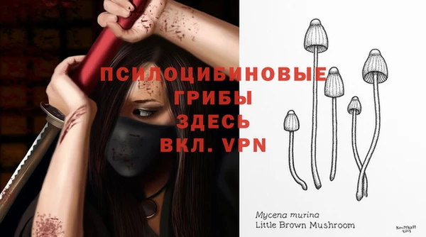 дмт Арсеньев