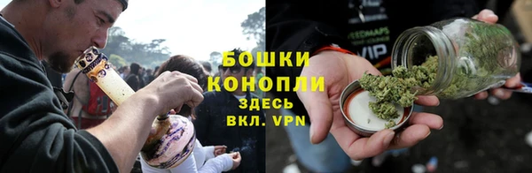 дмт Арсеньев