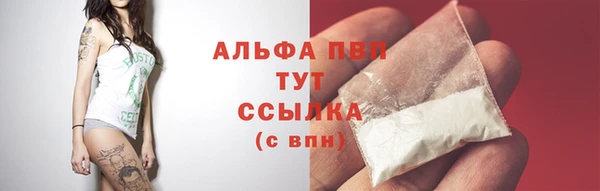 дмт Арсеньев
