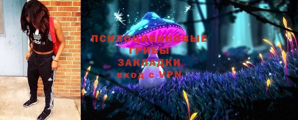 дмт Арсеньев