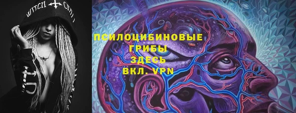дмт Арсеньев