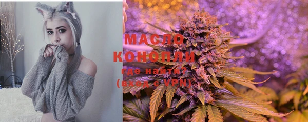 дмт Арсеньев