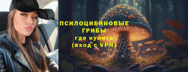 дмт Арсеньев