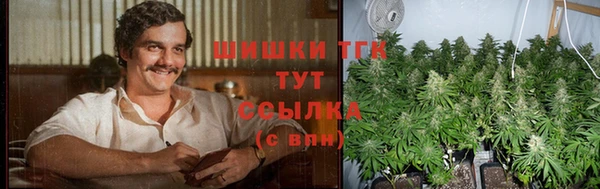 шишки Армянск