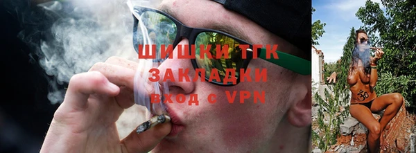 дмт Арсеньев