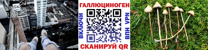 OMG ССЫЛКА  хочу наркоту  Знаменск  Галлюциногенные грибы Magic Shrooms 