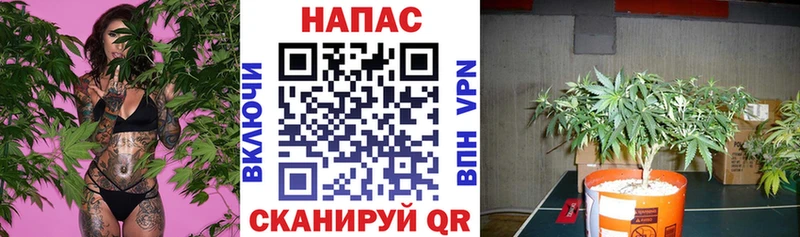 мега зеркало  Знаменск  Марихуана марихуана 